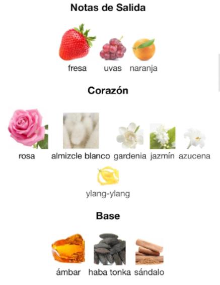 Lattafa Bruma Princesa de Arabia Prive Rose para mujeres 150 ml Fragancia Elegante y Sofisticada