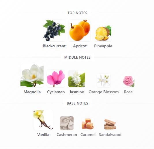 Lattafa Perfume Nasamaat EDP para Mujeres 100 ml Fragancia Elegante y Duradera para un Aroma Exquisito