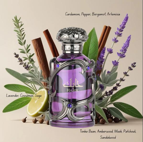 Lattafa Perfume Habik EDP para Hombres 100 ml Fragancia Masculina de Alta Calidad